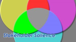 Illustration of the categories of the Salience Model as a Venn diagram.